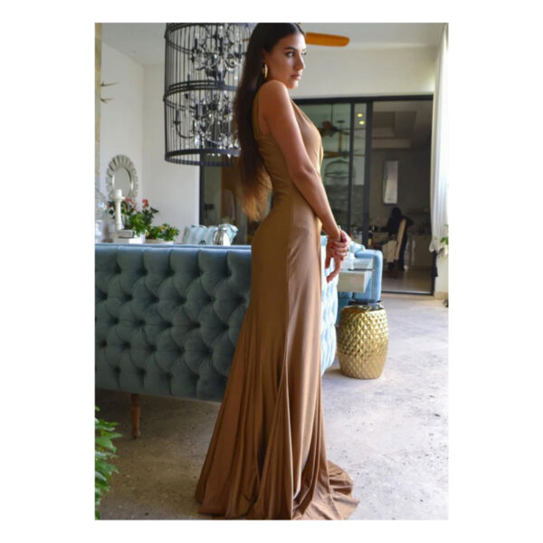 Donatella Golden Dress - Image 6
