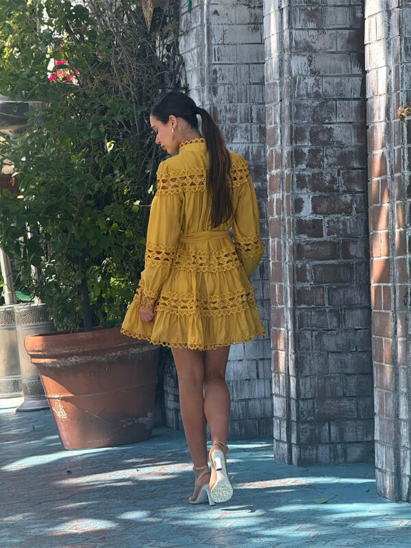 Fortune Mini Dress - Image 30