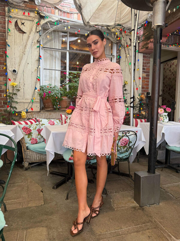 Fortune Mini Dress - Image 13