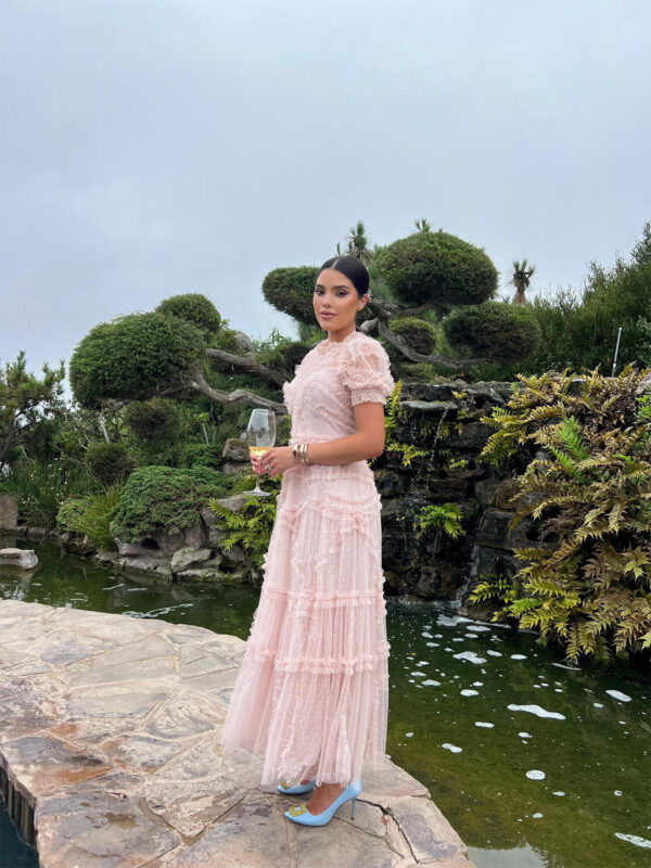 Bellini Dress - Image 4