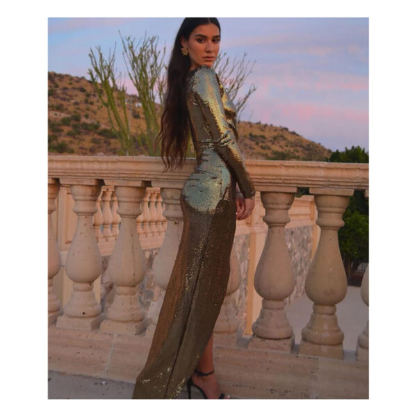 Vestido Golden Brooke - Image 3