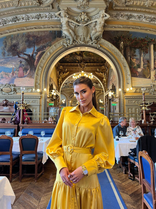 The Palace Dress - Image 2