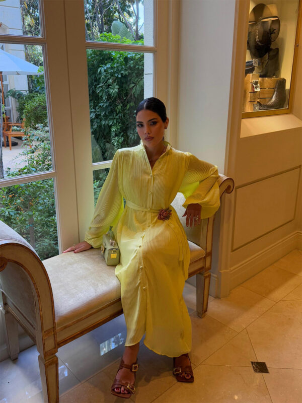 Dermot Midi Dress - Image 2