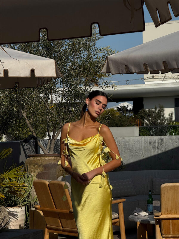 Rioja Dress - Image 28