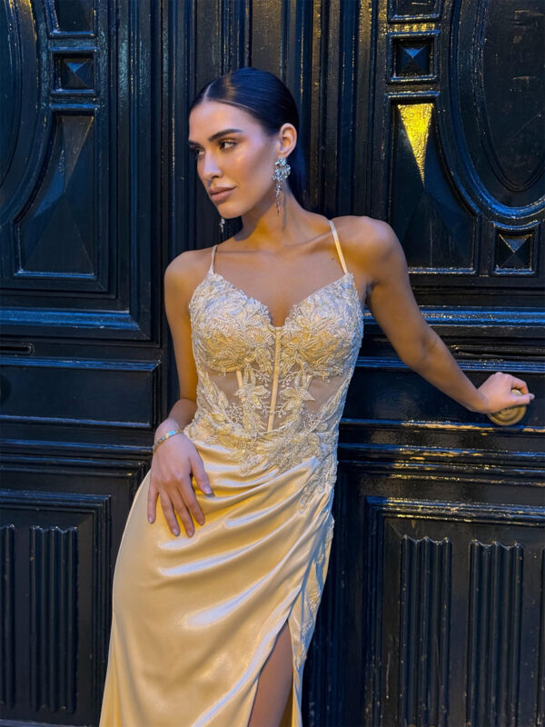 Lerida Dress - Image 3