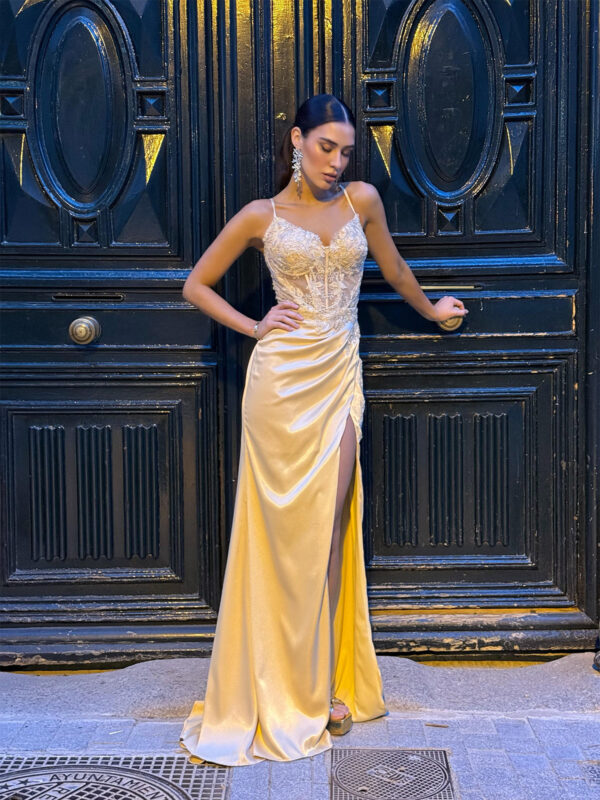 Lerida Dress