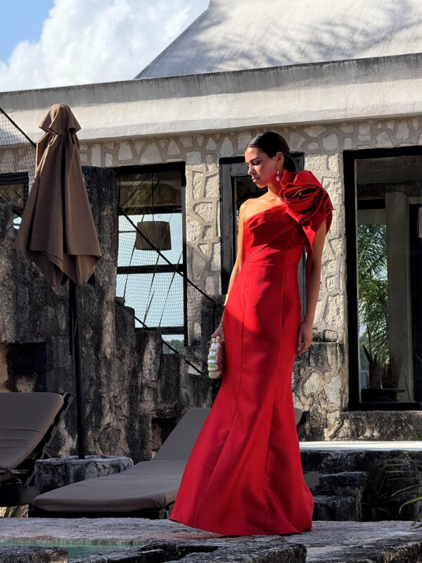 Marieta Dress - Image 5