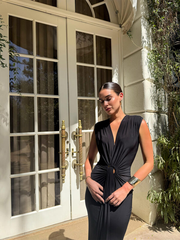 Santa Monica Dress - Image 5