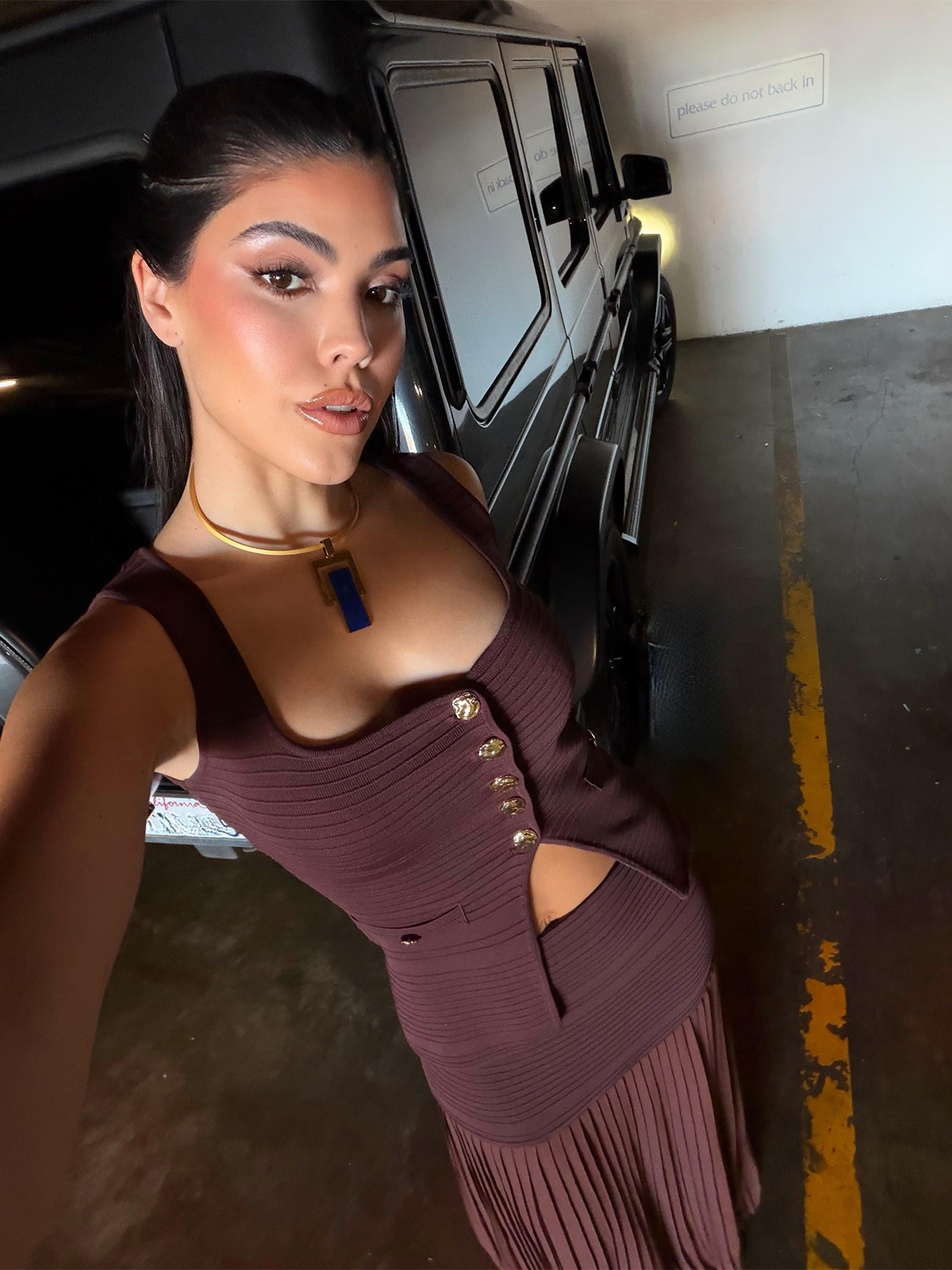 Pelican Set - Image 8