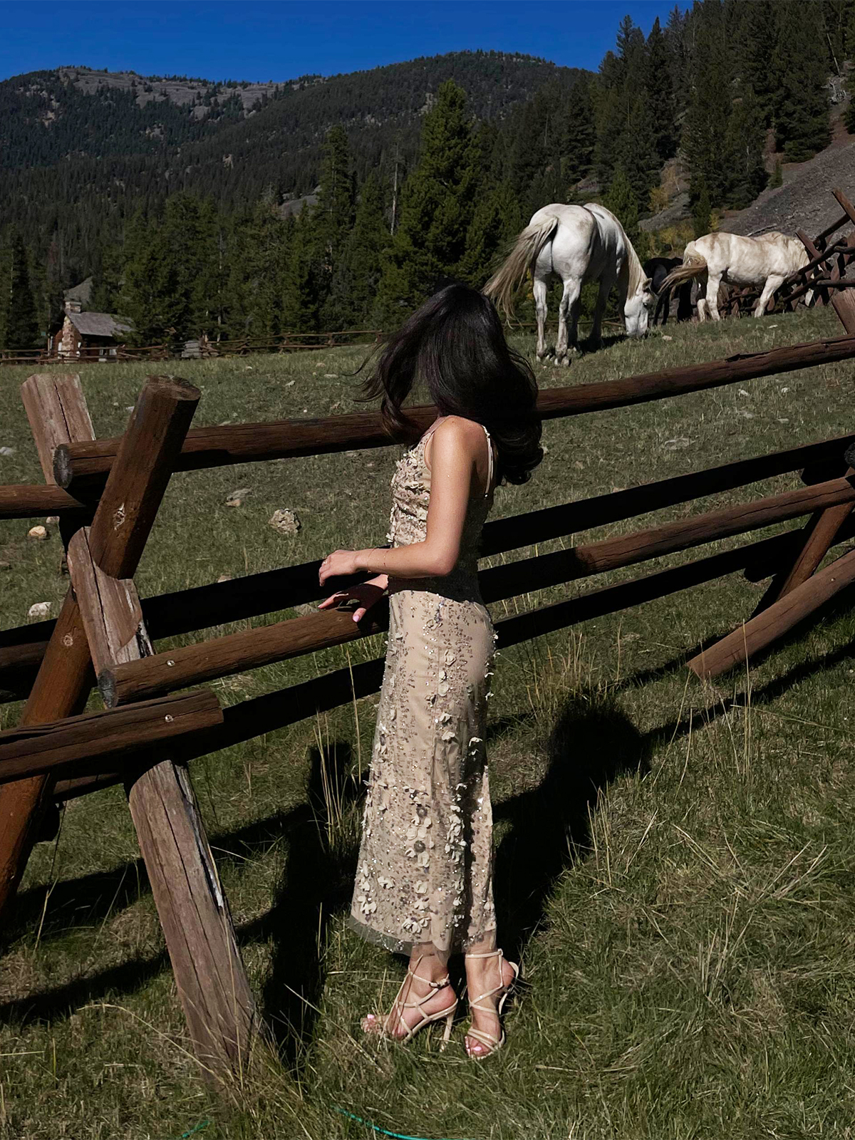 Celebration Dress - Image 2